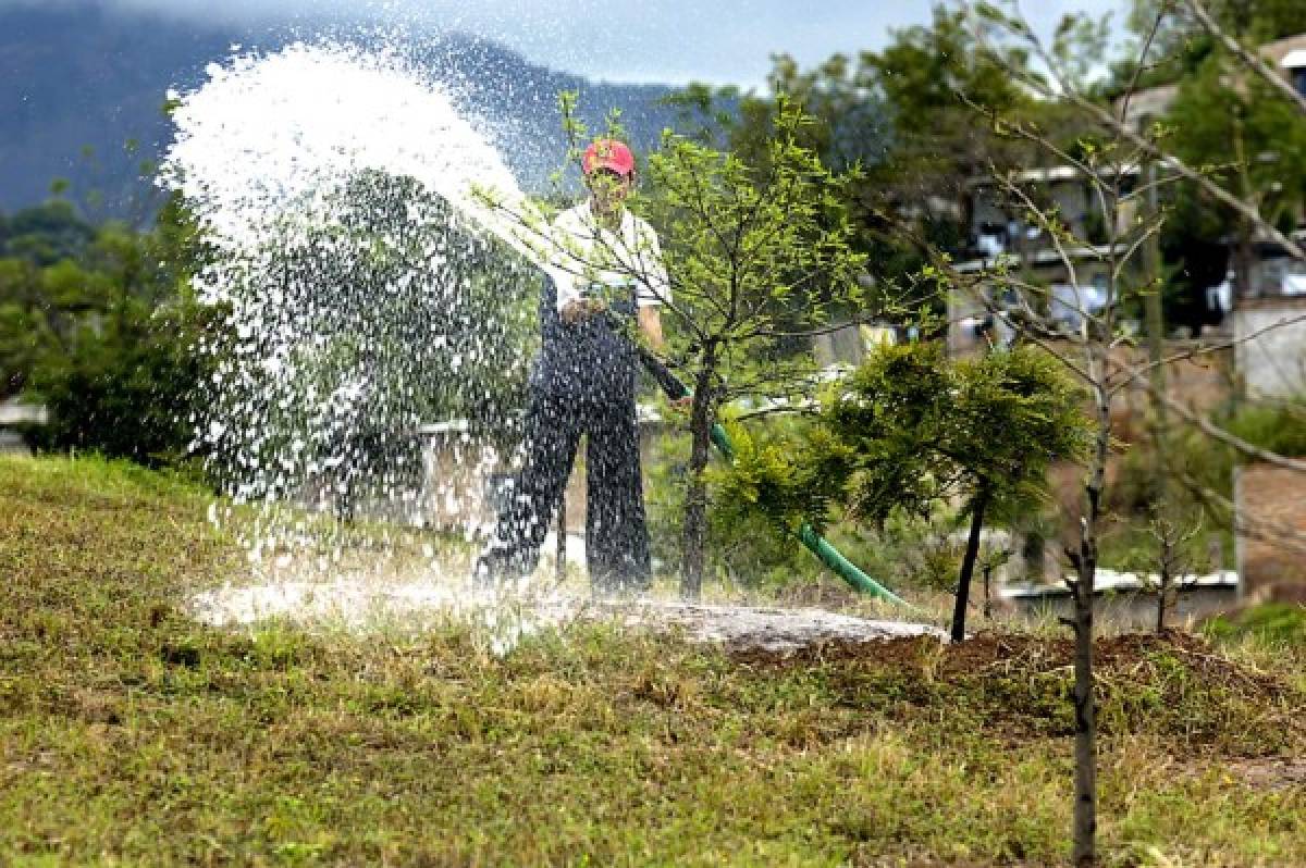 Operativos contra el derroche de agua potable