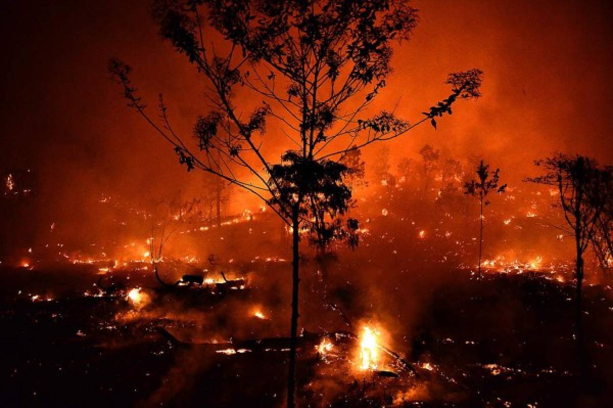 Más de 100 hectáreas reducidas a cenizas en siniestro en El Hatillo