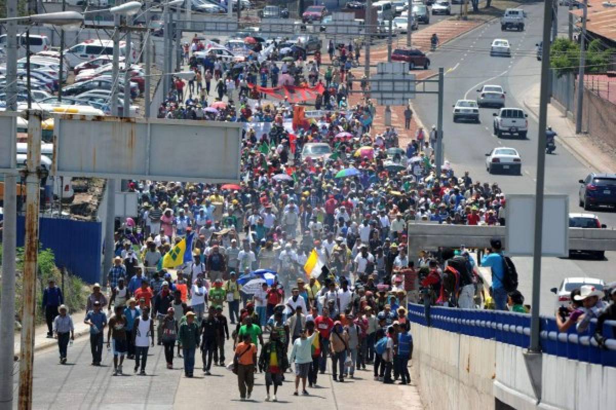 Honduras muestra debilidad para investigar asesinato de ambientalista   