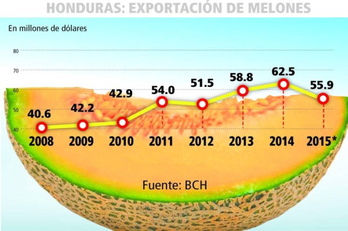 Exportación de melón cae 11.8% en cosecha 2014-15