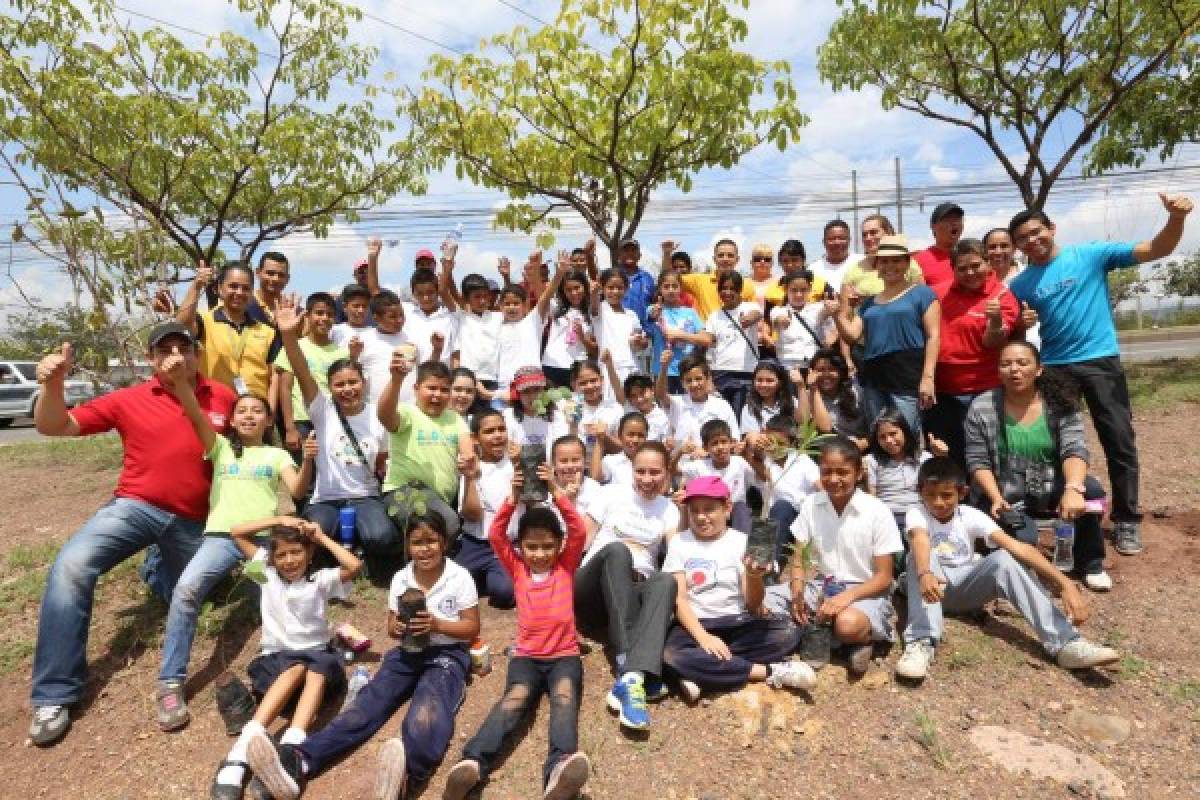 Pintamos de verde bahía del periférico en Tegucigalpa