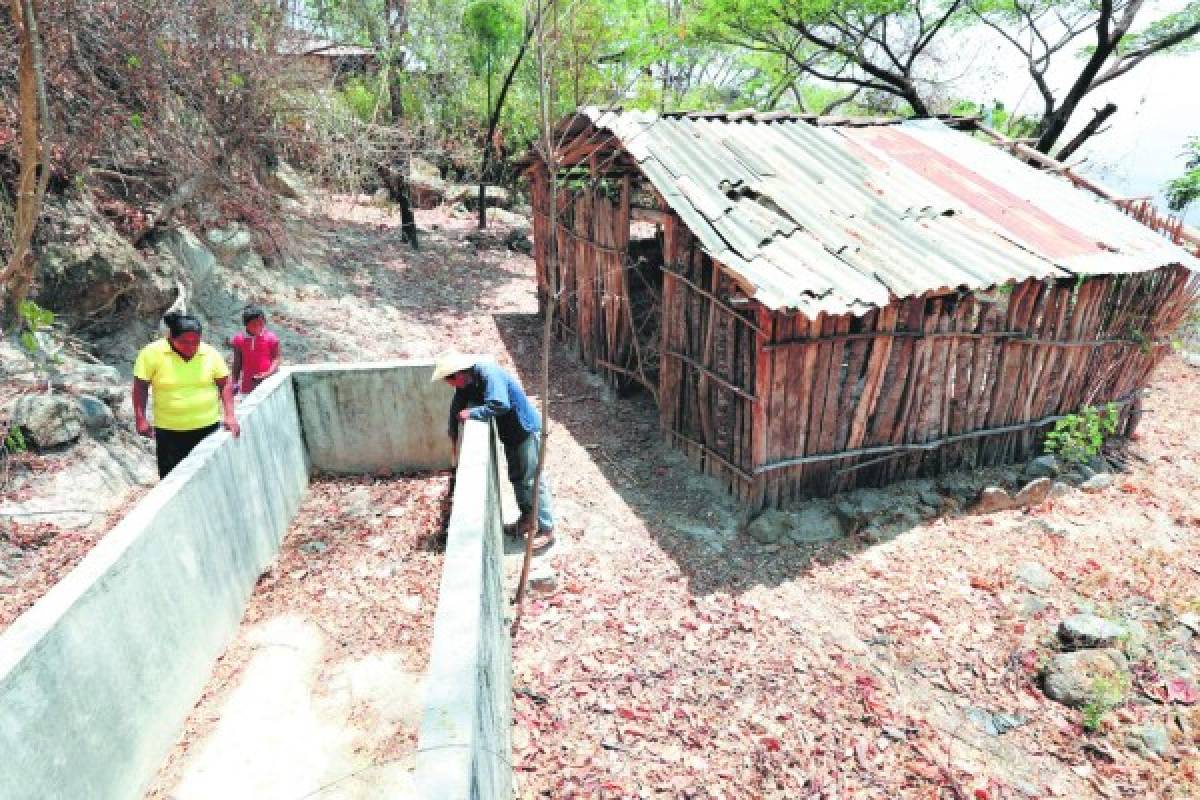 FAO atiende a unas seis mil familias en la zona sur