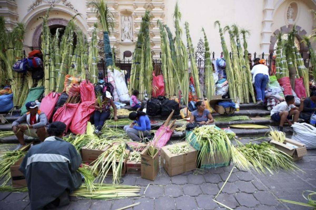 La capital se llena de palmas de olivo para la Procesión de Ramos