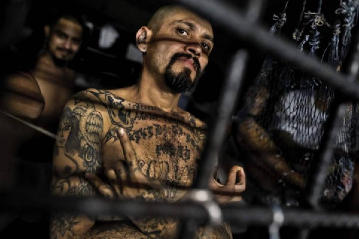Casi cuatro mil pandilleros capturados en EEUU y Centroamérica  
