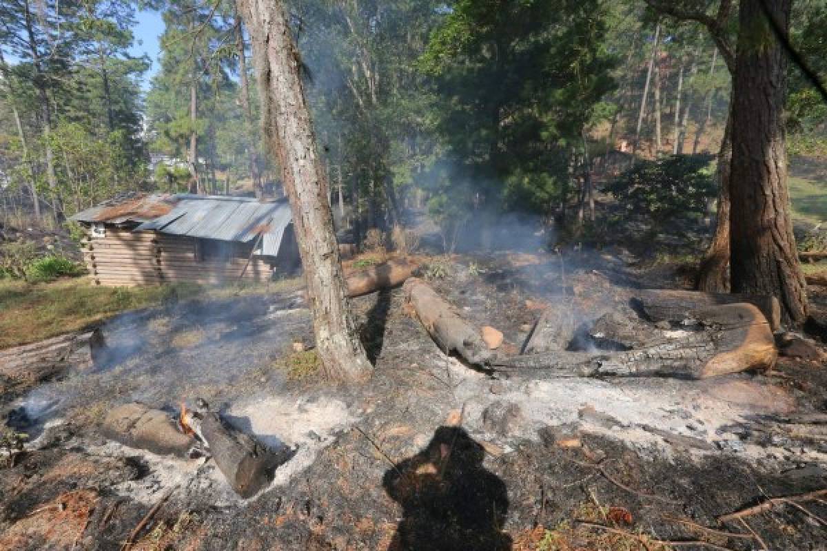 Honduras: Incendio daña 420 hectáreas de bosque en El Hatillo