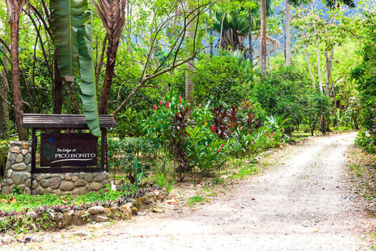 Honduras, paraíso para observadores de aves