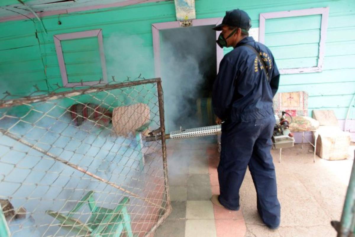 Intervienen 1,600 casas por dengue