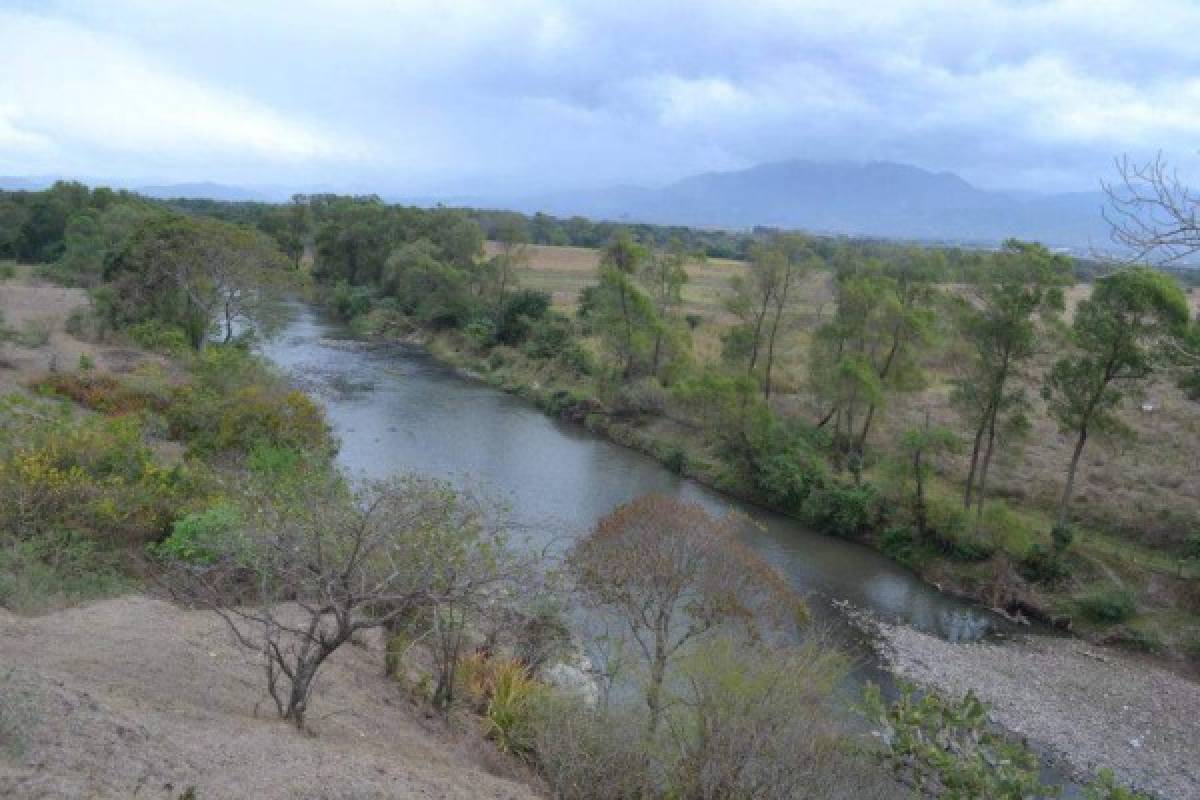 Yarumela, historia y sabor de Honduras