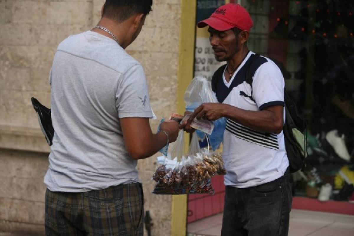 Honduras: Tasa de desempleo abierto se redujo en 1.6%
