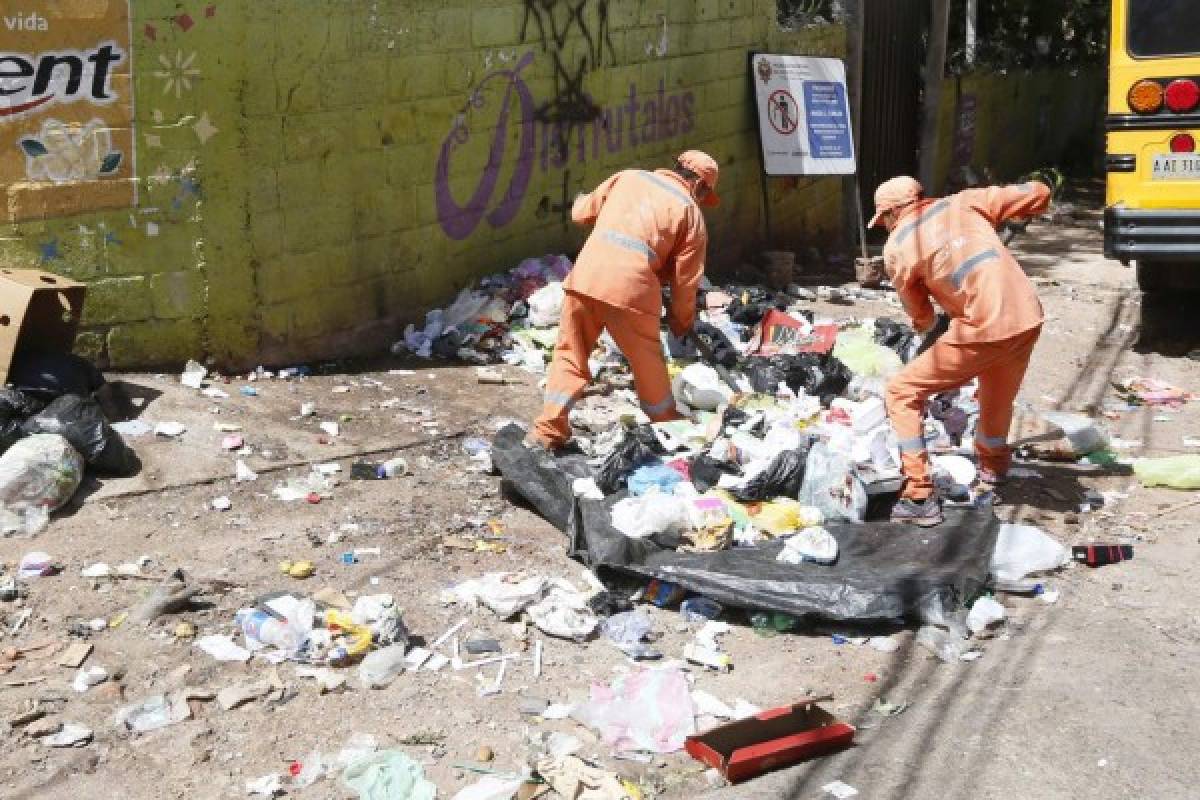 Siete de cada diez centros educativos tienen contaminación por la basura