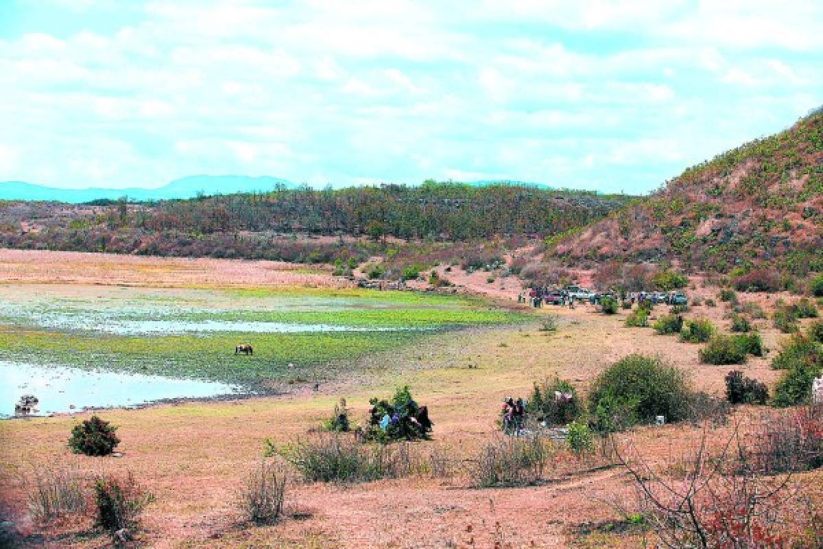 Sitio ecoturístico planean para Laguna del Pedregal