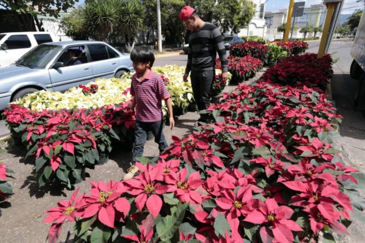 Navidad en Honduras con pesebres, decoraciones y villas