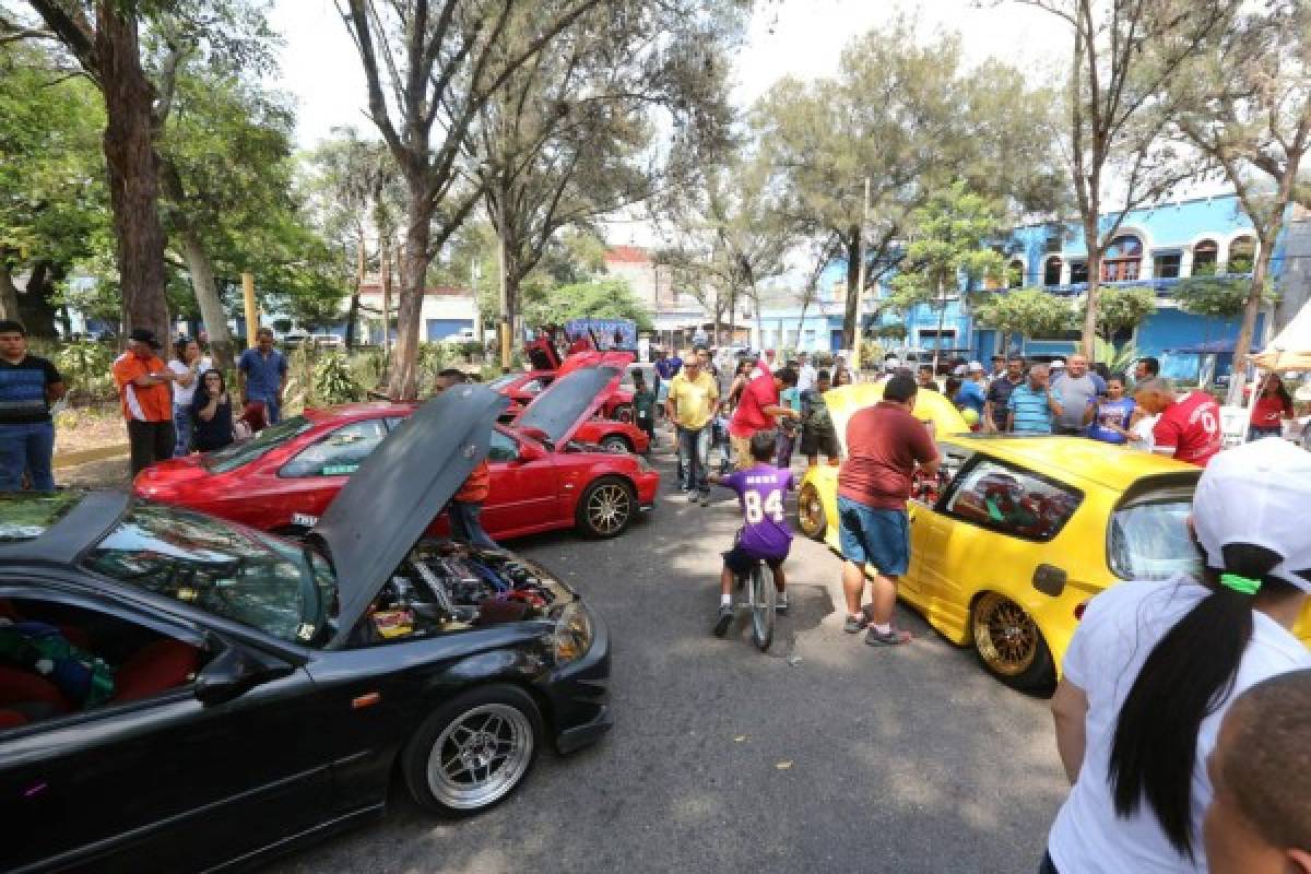 Arte, cultura y diversión en el Festival de Verano