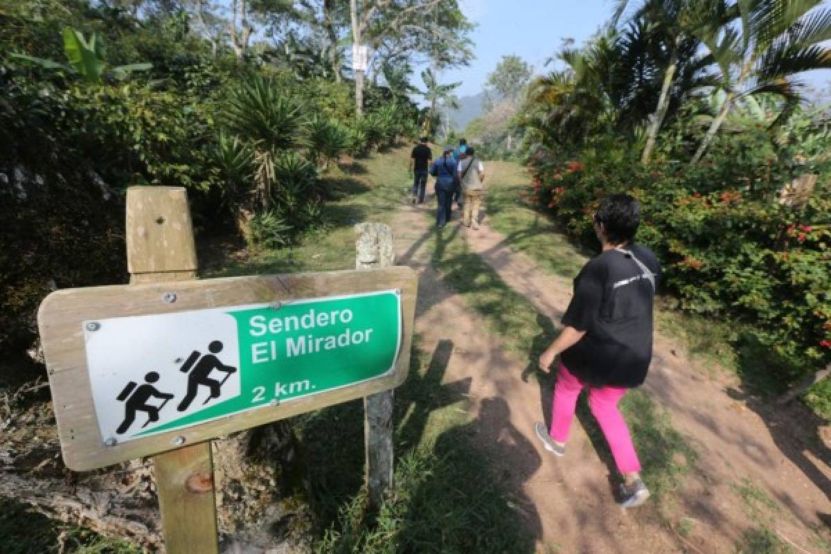 Disfrute la vida del campo en Hacienda Montecristo, Copán