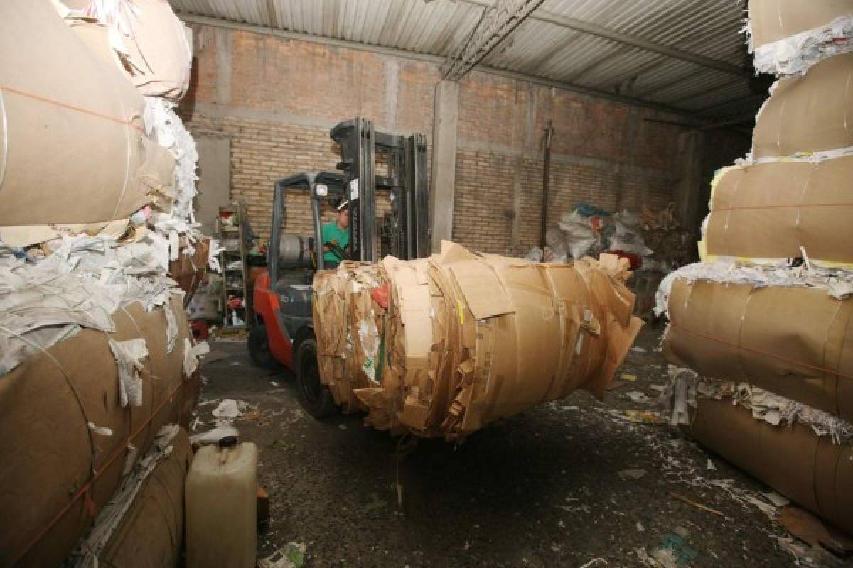 Con ley pretenden formalizar la labor de reciclaje en la capital
