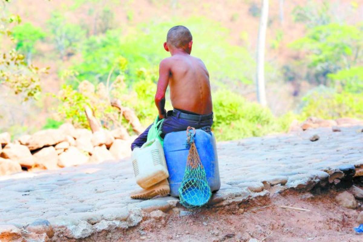 Honduras: Con desesperación, pobladores luchan contra sequía