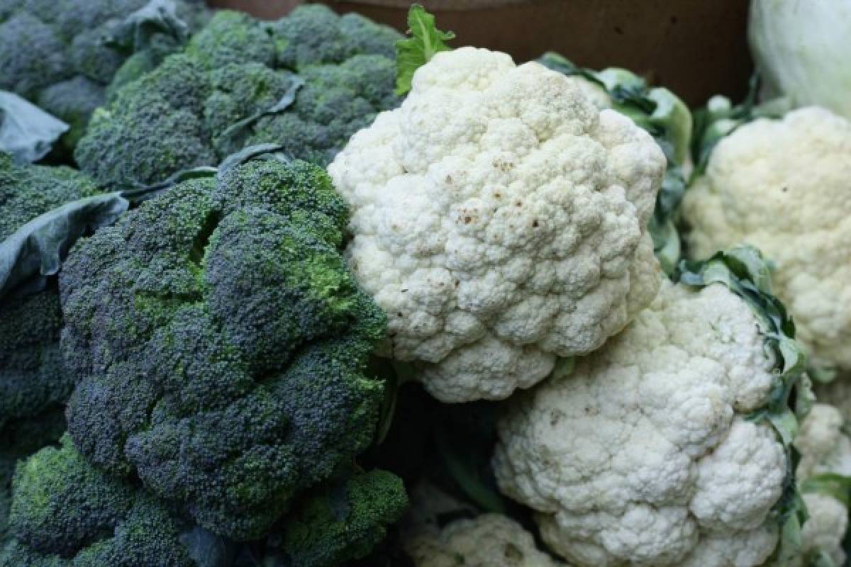 Las hortalizas de hoja verde contienen boro, que tiene efecto sobre la actividad del cerebro