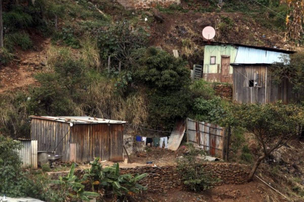 De al menos 20 mil viviendas es el déficit anual en el Distrito Central