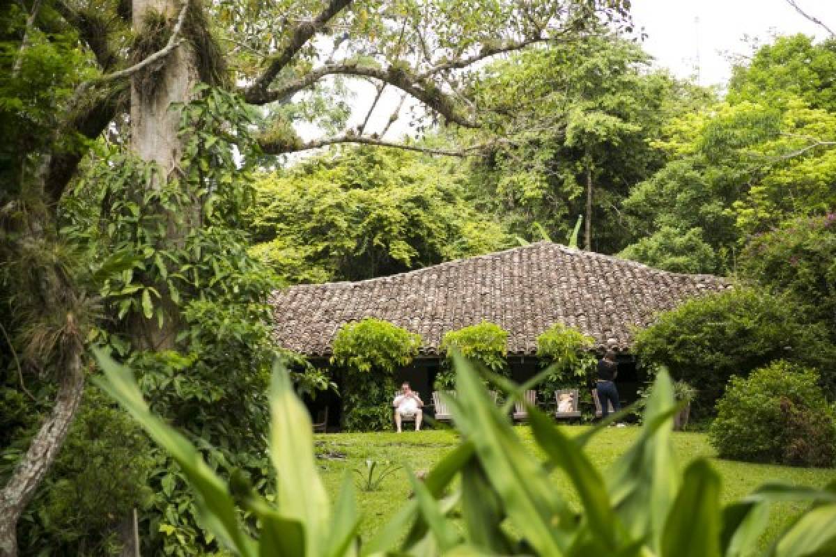 Un relajante paseo por Copán Ruinas, tierra de historia y naturaleza