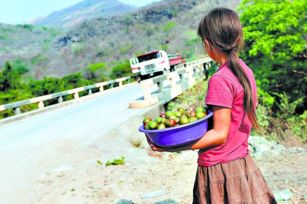 Honduras: El hambre amenaza a pobladores del corredor seco