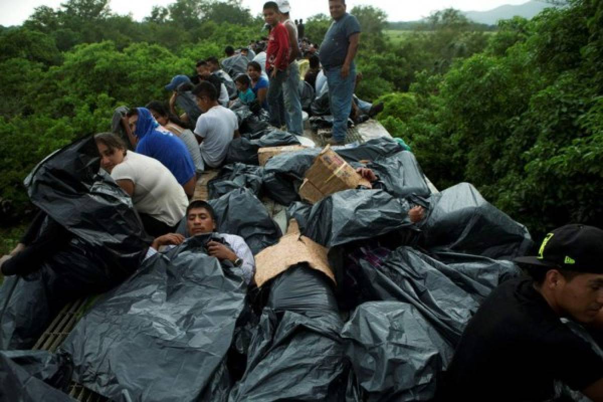 México busca impedir que migrantes viajen en tren 'La Bestia'