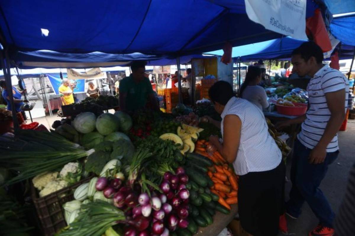 Costo mensual de canasta alimenticia es de 8,782.75 lempiras