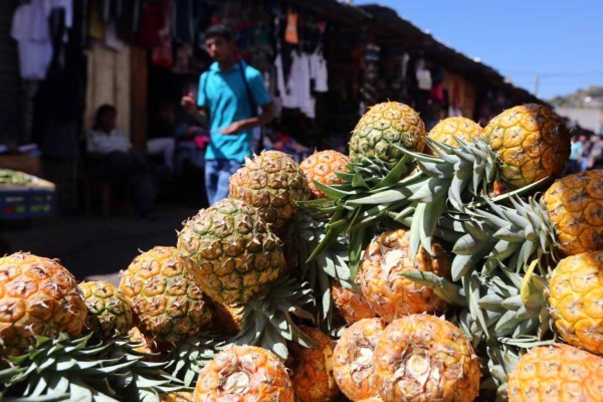 Delicias culinarias con sabor a tradición para disfrutar durante la Cuaresma