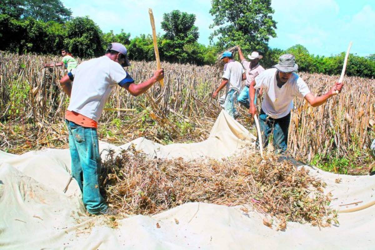 Casi 25 mil familias urgen de ayuda humanitaria