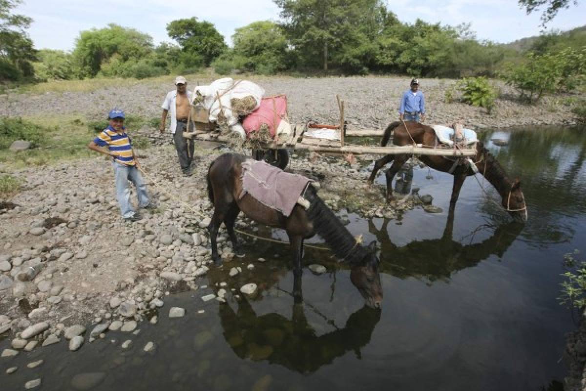 Pobladores claman por lluvia ante la sequía que les azota