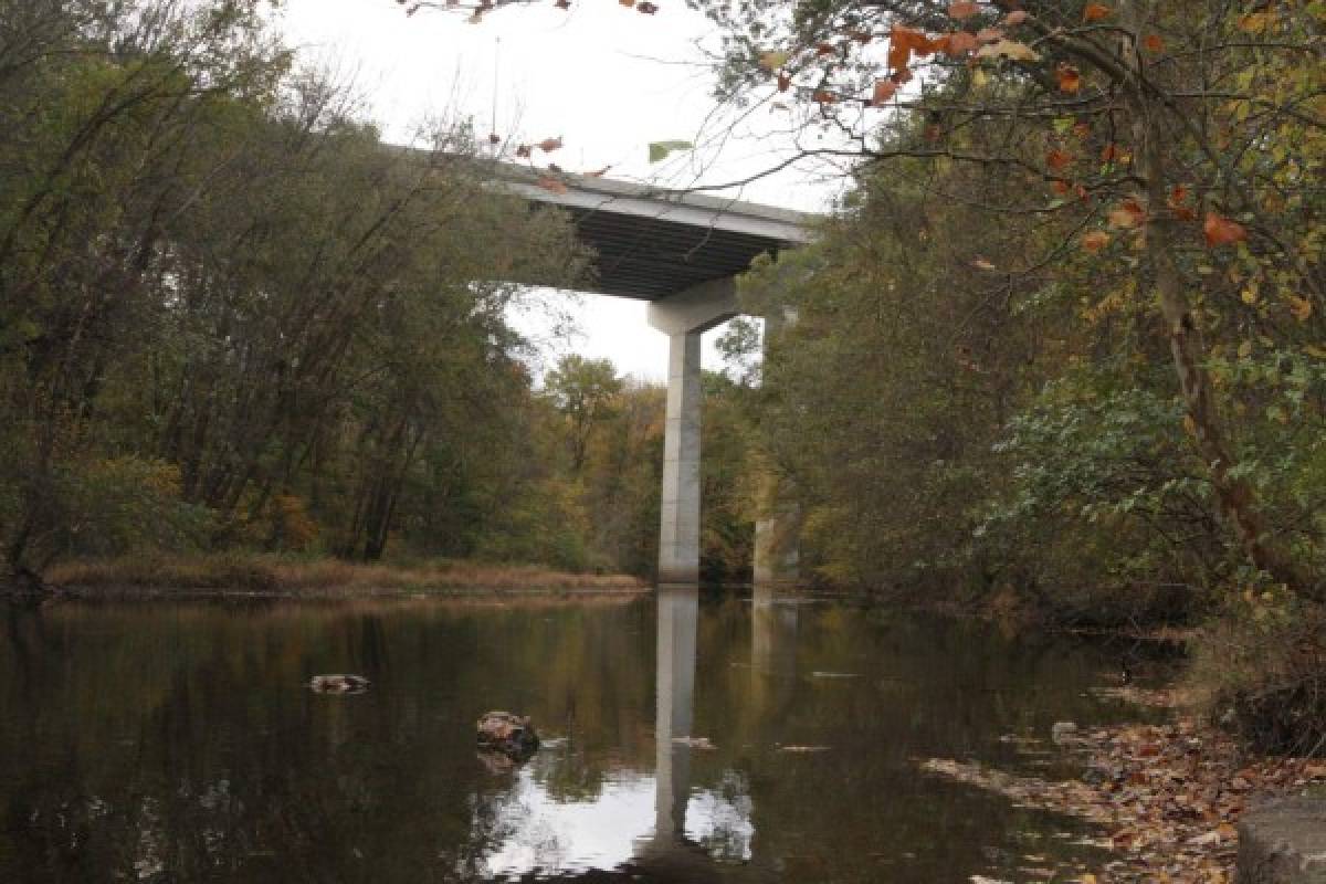 Estados Unidos: Hombre muere al saltar de un puente con sus niños