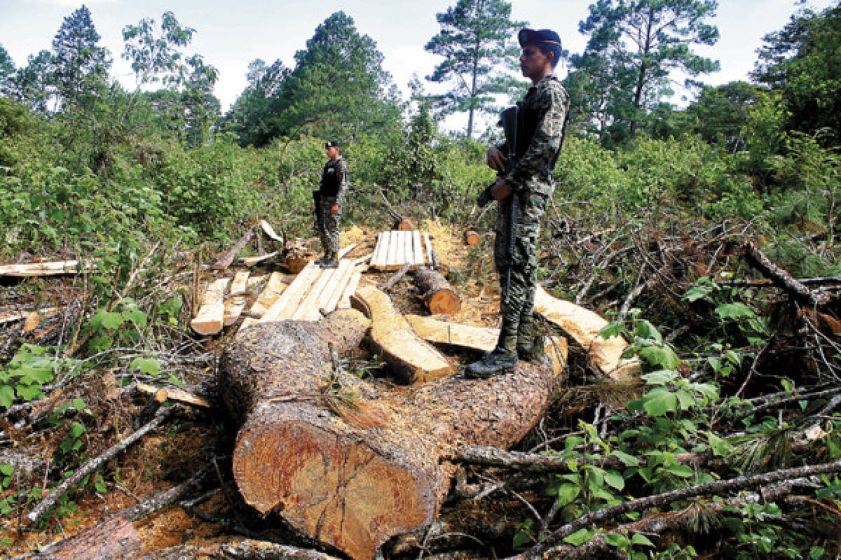 Denuncian ecocidio en caserío de Jacaleapa