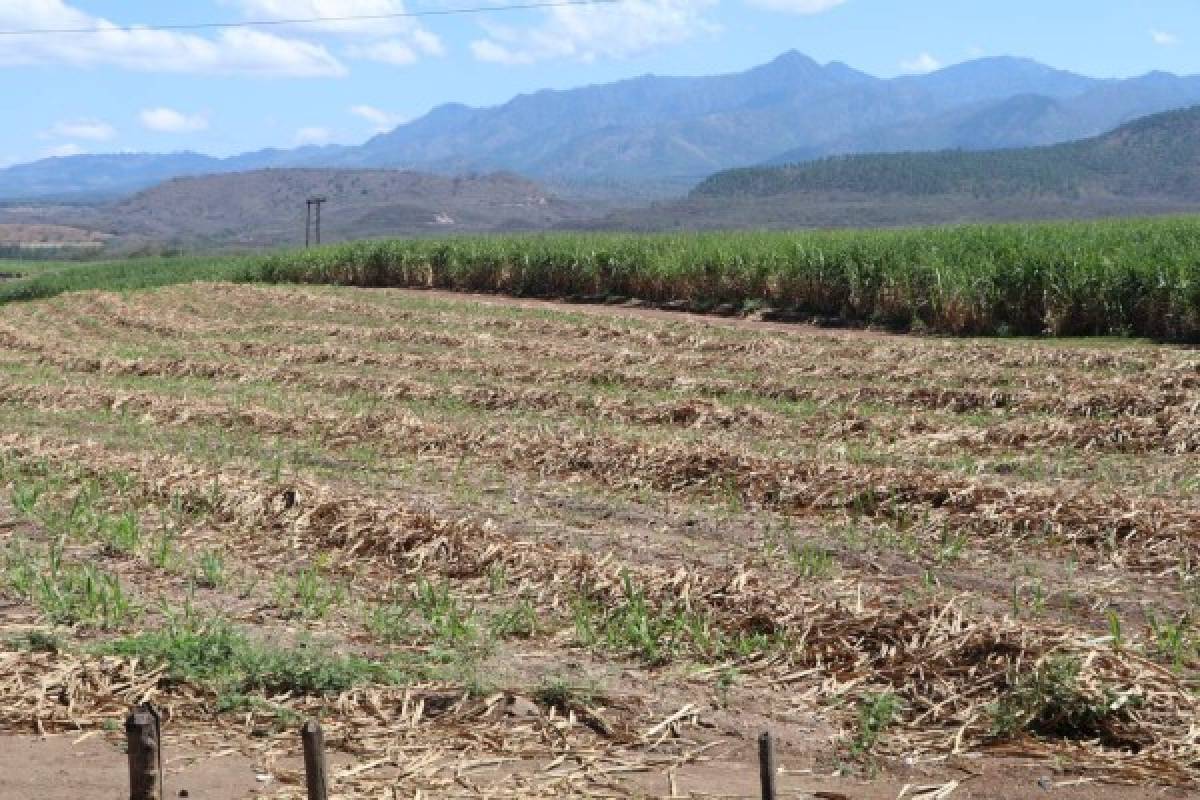 Tierra Adentro: Cantarranas, una mágica cita con las tradiciones de Honduras