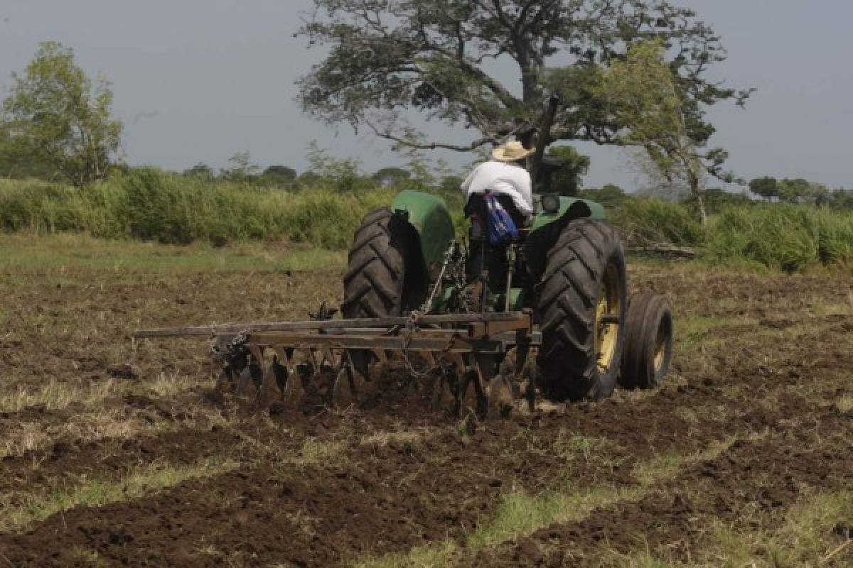 Productos agrícolas del sur llegan a los mercados europeo y asiático