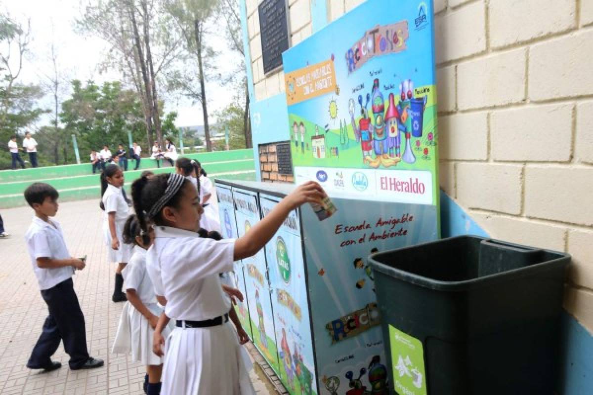 Clubes ecológicos diseñan estrategias