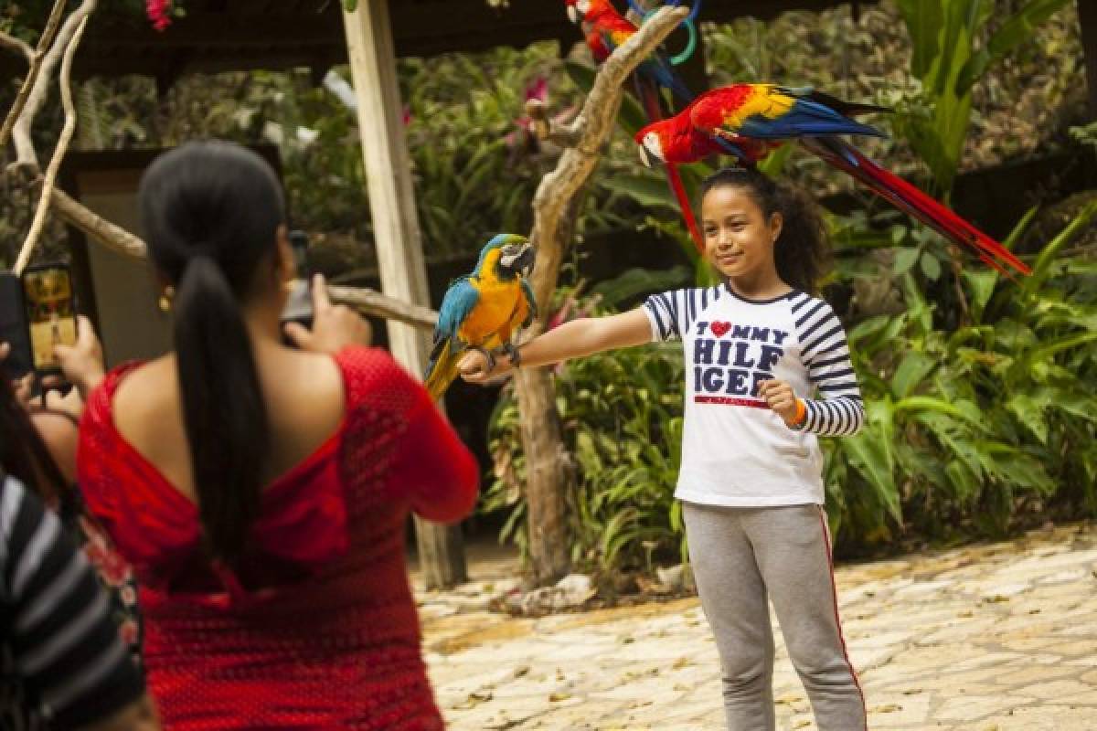 Un relajante paseo por Copán Ruinas, tierra de historia y naturaleza