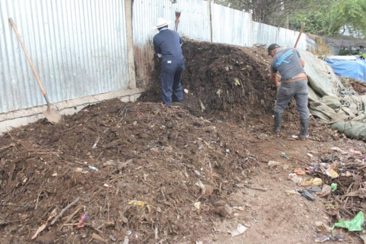 El departamento de Comayagua produce su propio abono con desechos