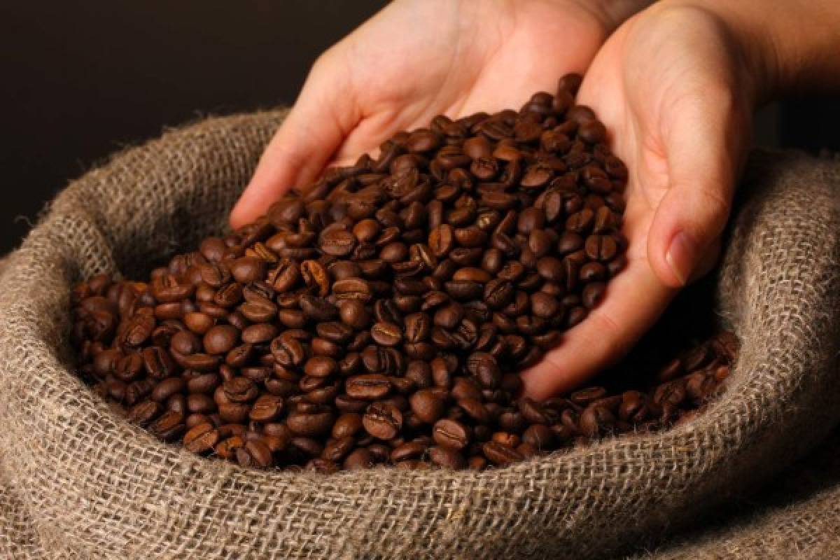  25% de las exportaciones de Honduras son de cafés diferenciados