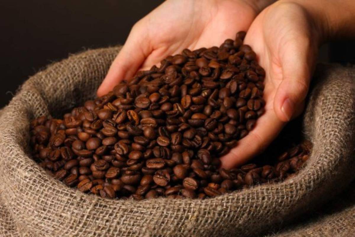 Los cafés especiales hondureños ganan mercado