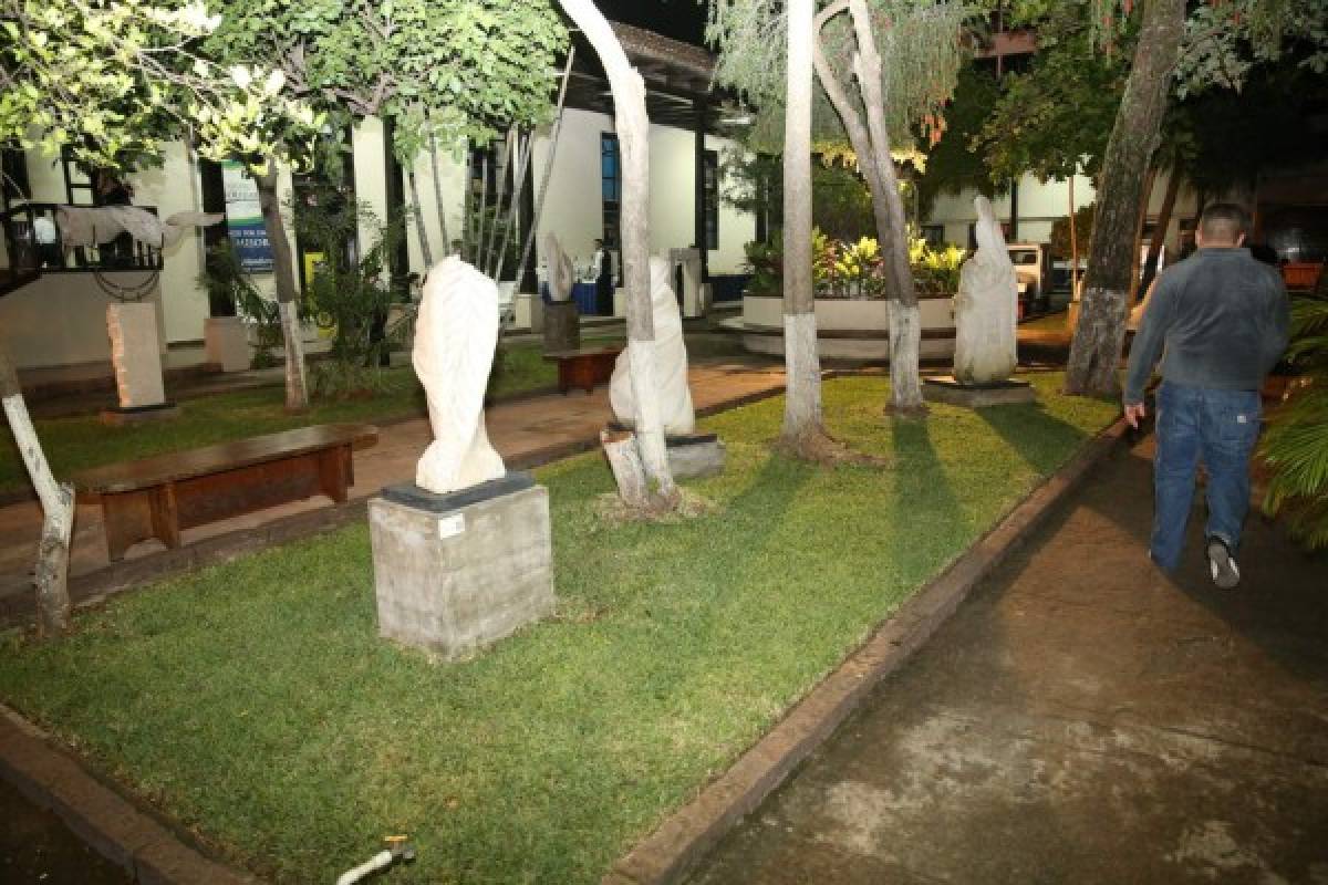 La Galería Nacional de Arte abrió al público el Jardín Escultórico de mi País