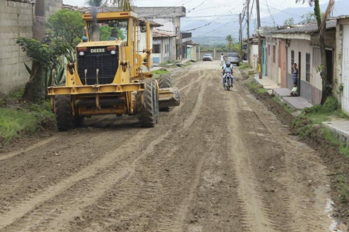 Honduras: Reforestan bosque de mangle