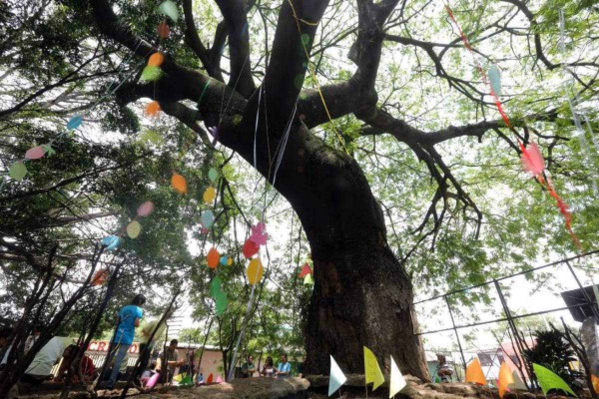 Homenaje a los árboles en el barrio Guanacaste