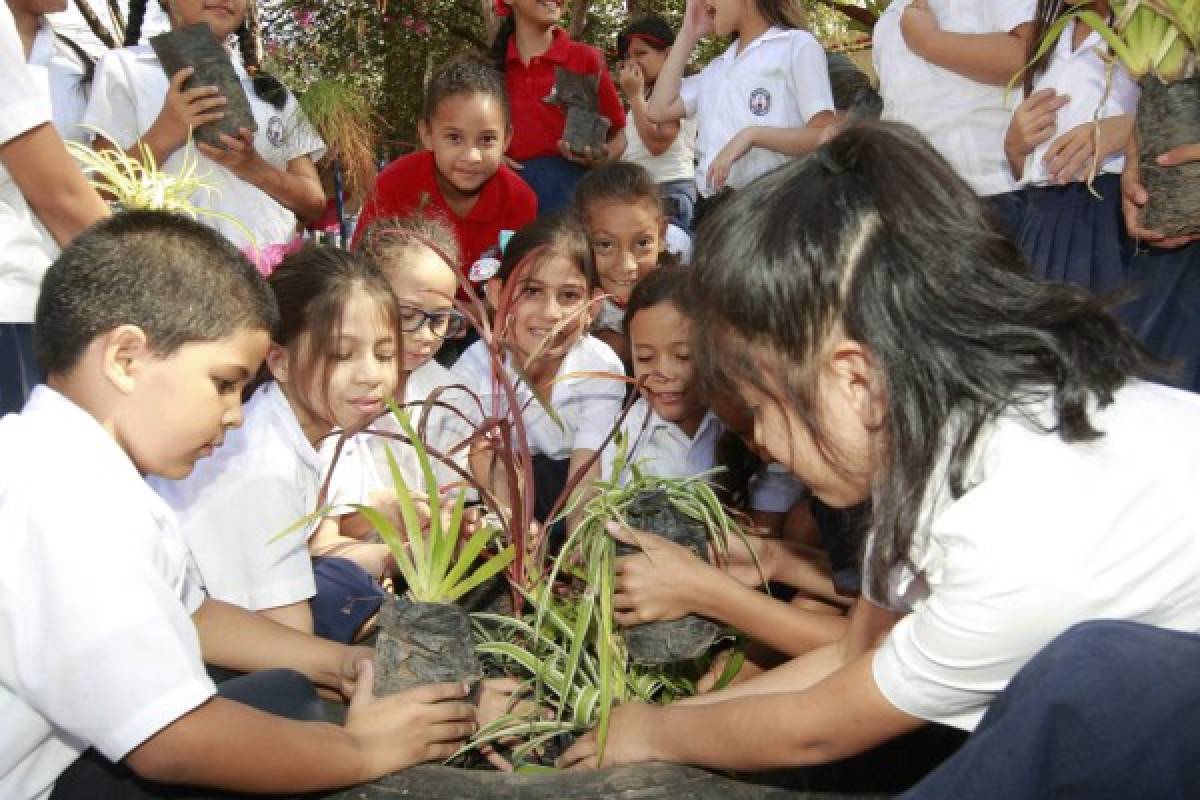 Sembramos el respeto al ambiente con reforestación