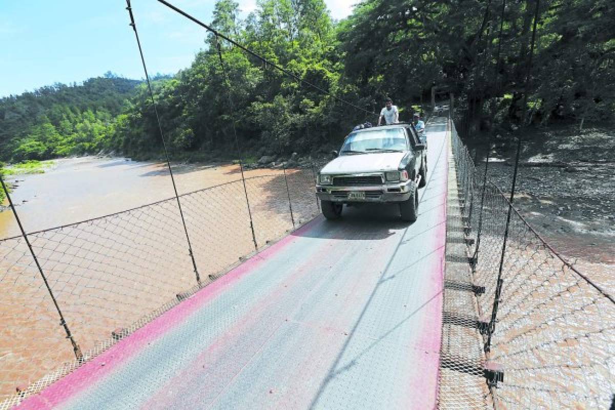 Por carreteras destrozadas trasladan producción de café en Comayagua