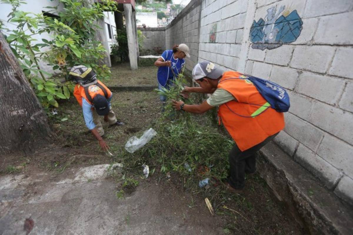 Jornadas de limpieza en CEB Amigables con el Ambiente