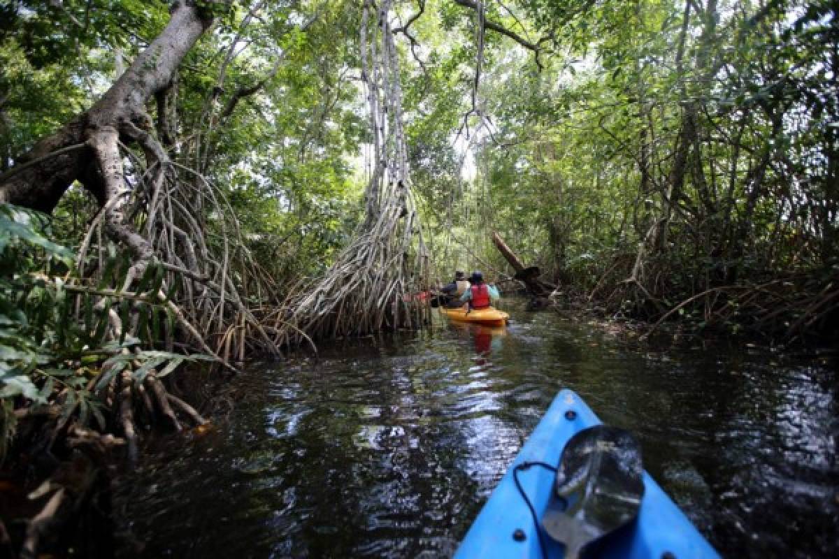 Recarga de adrenalina en El Río Plátano