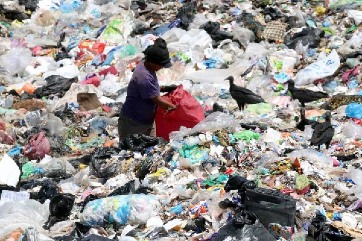 Desechos orgánicos, papel y nailon es lo que más generan los hogares capitalinos