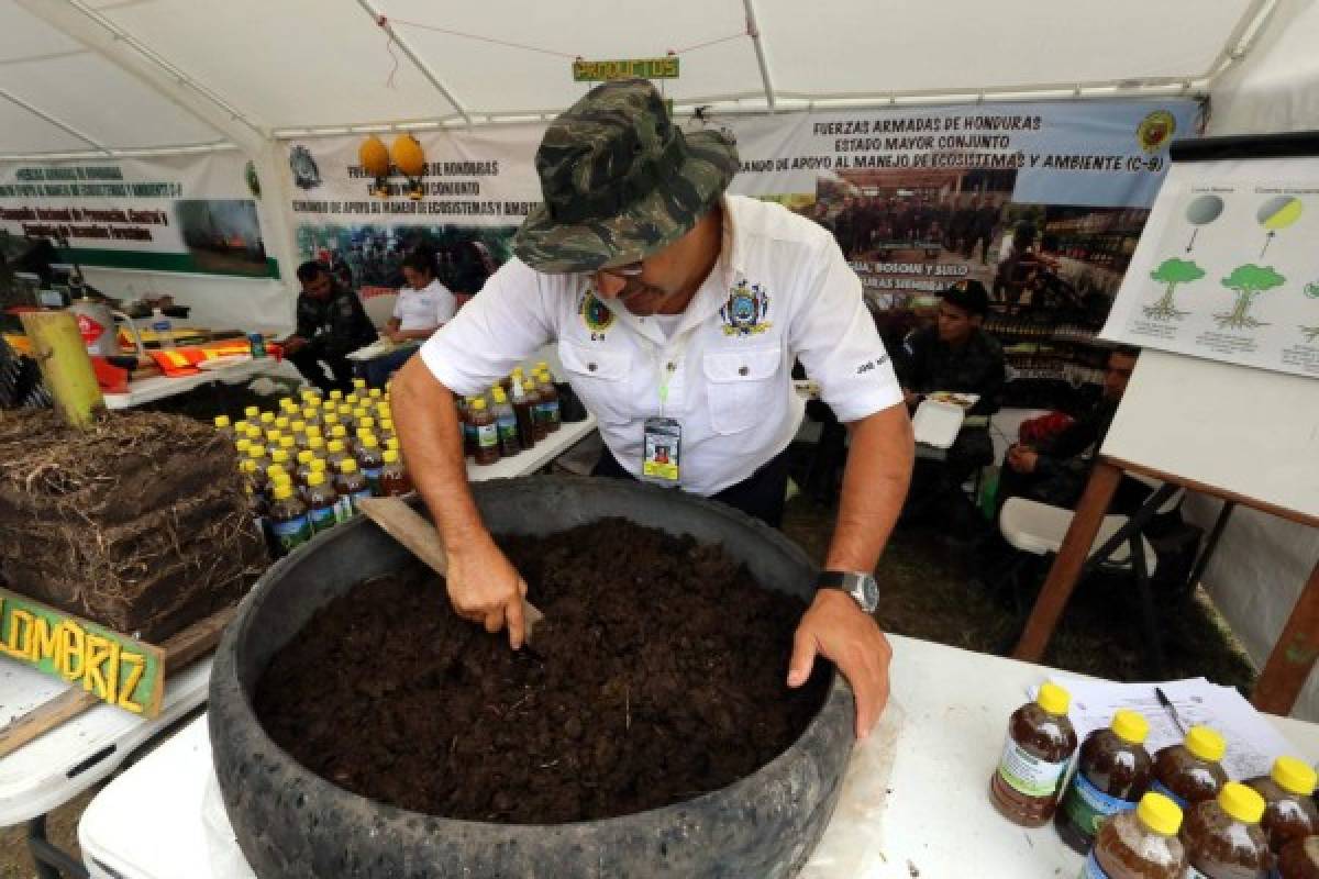 Realizan V Feria de Adiestramiento