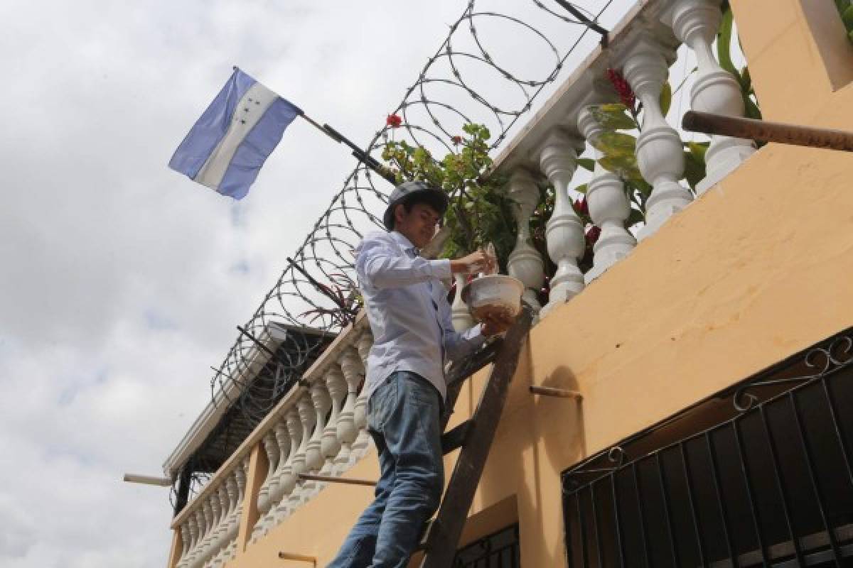 Pintado de 700 casas mejora ornato en cuatro barrios y colonias