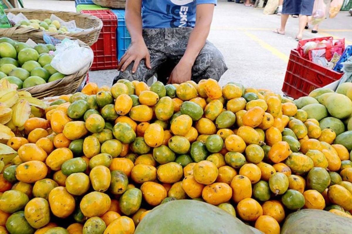 Un recorrido por la Feria del Agricultor y el Artesano