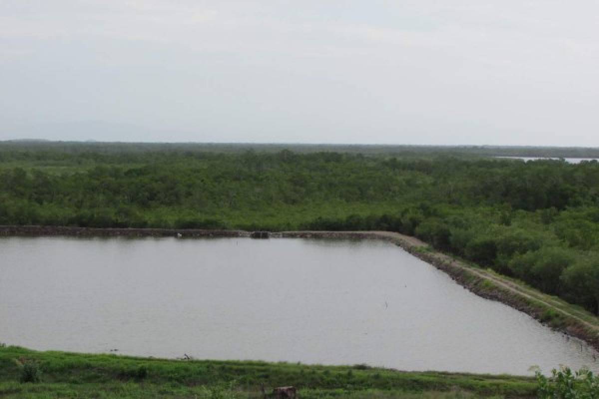 Carencia de peces afecta a los pescadores del Golfo de Fonseca